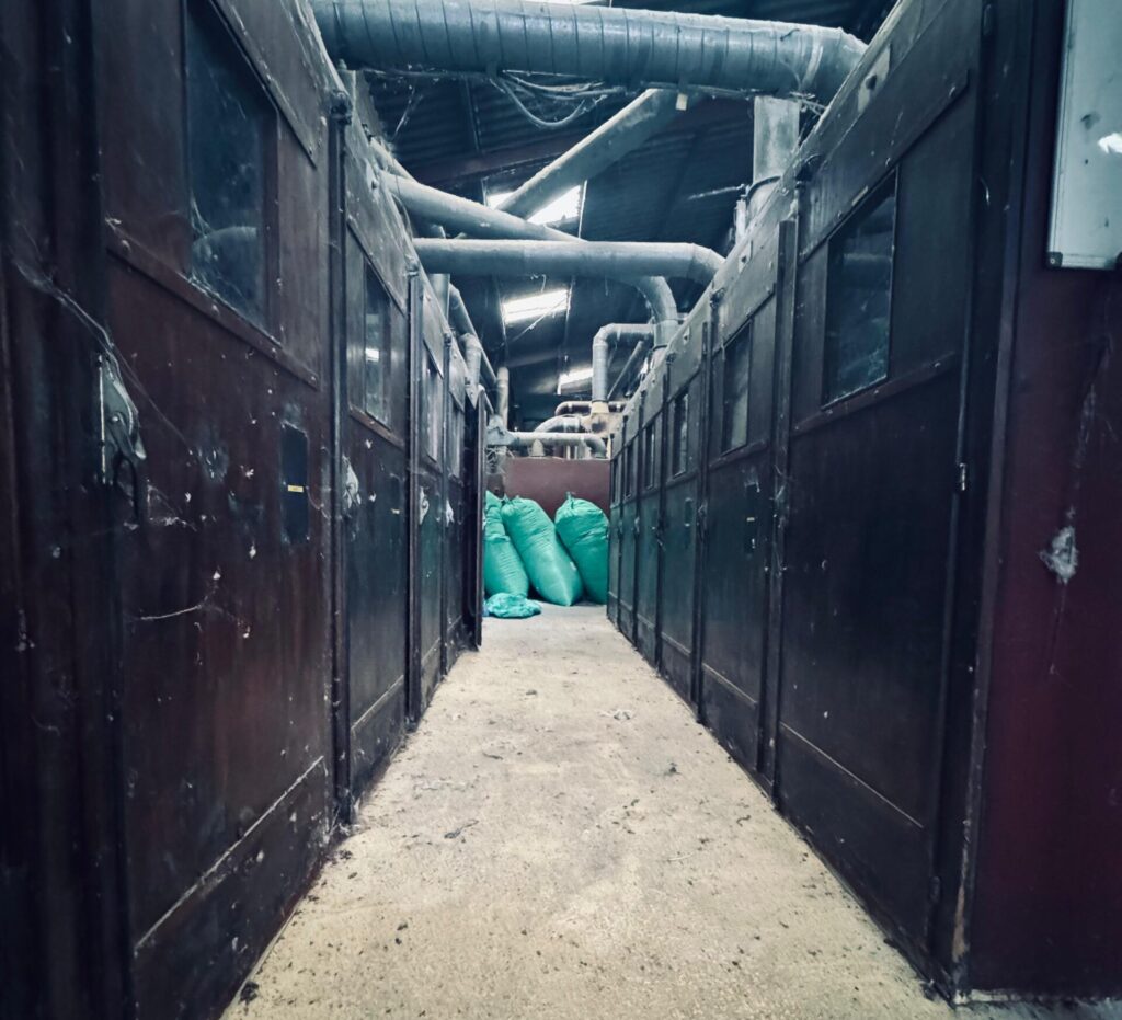 Photo des locaux de l'entreprise plumes du quercy avec les machines de tri